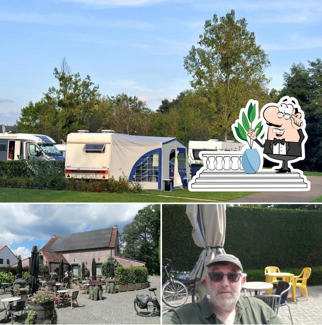 Café Breebos