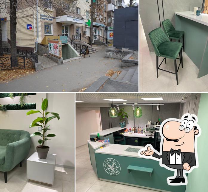 Ботаника кофе