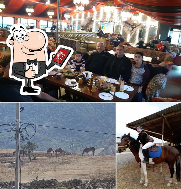 Это снимок ресторана "Ватан"