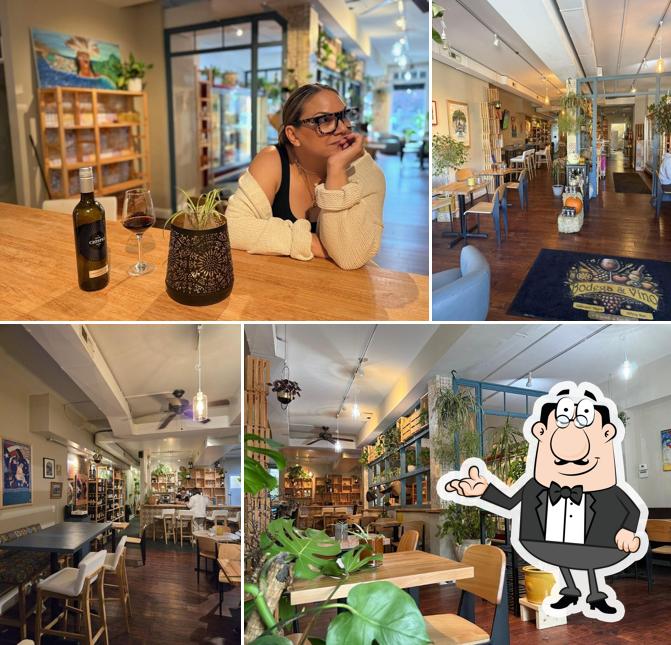 Bodega and Vino