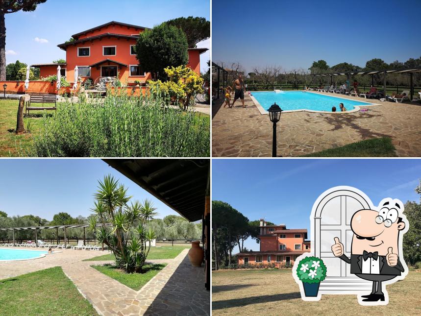Agriturismo Le Colline di Augusta Fonsi