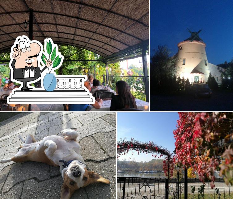 Restoran Vetrenjača