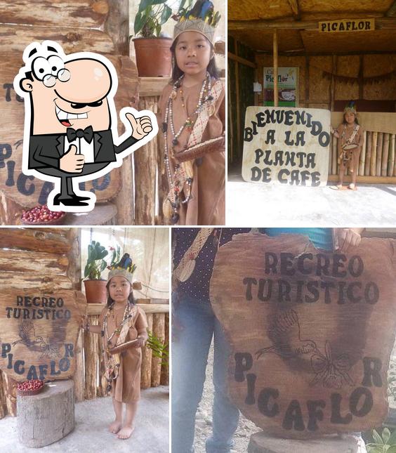 Recreo Picaflor