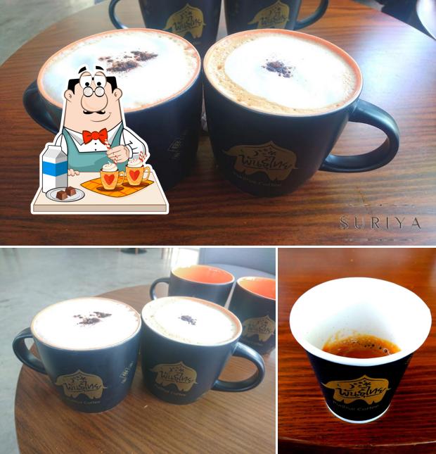 ร้านกาแฟพันธุ์ไทย PT สีคิ้ว1