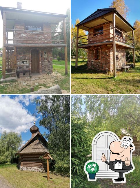Зеленая роща