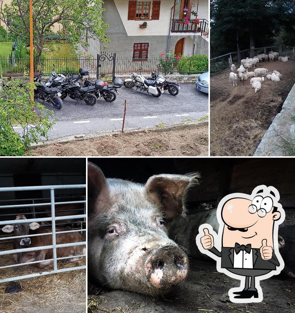 Agriturismo Il Castagno