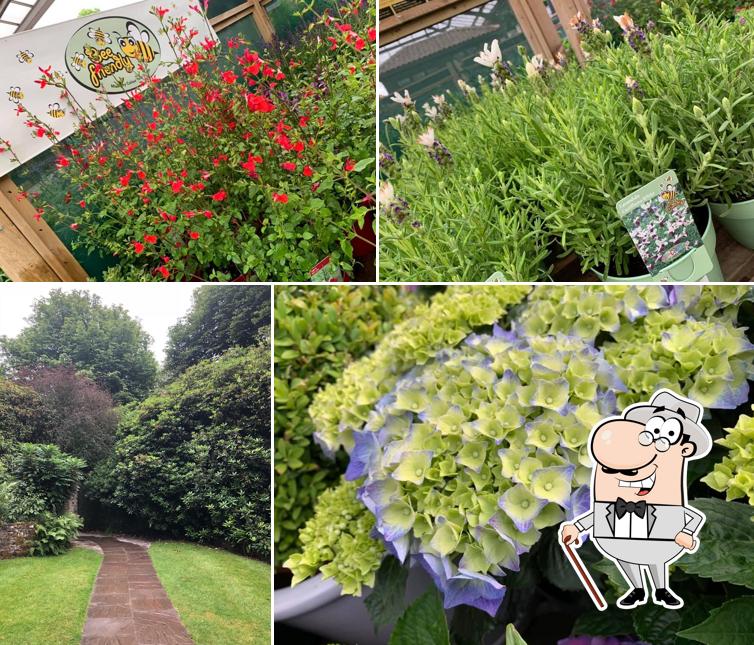 Wentworth Garden Centre