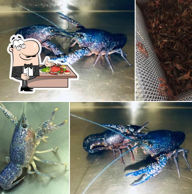 Crawfish Connection