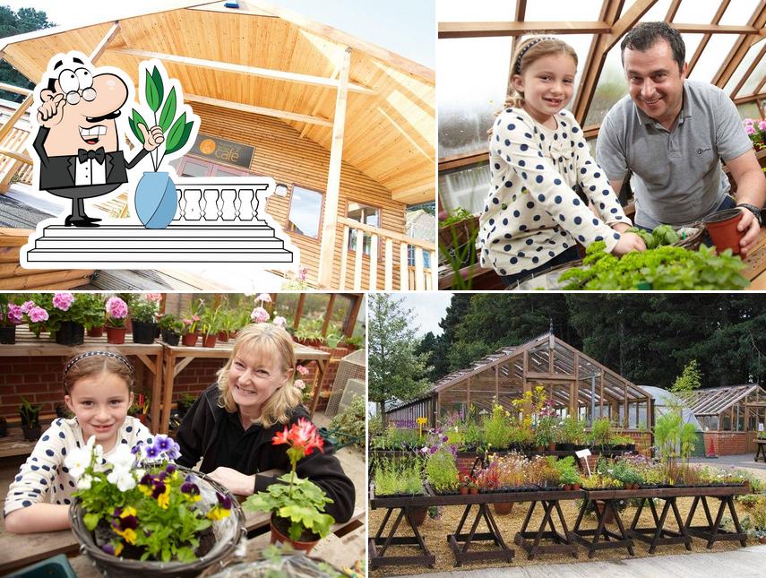 Hepscott Park Garden Cafe
