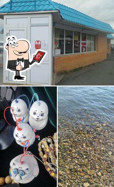 Сарма