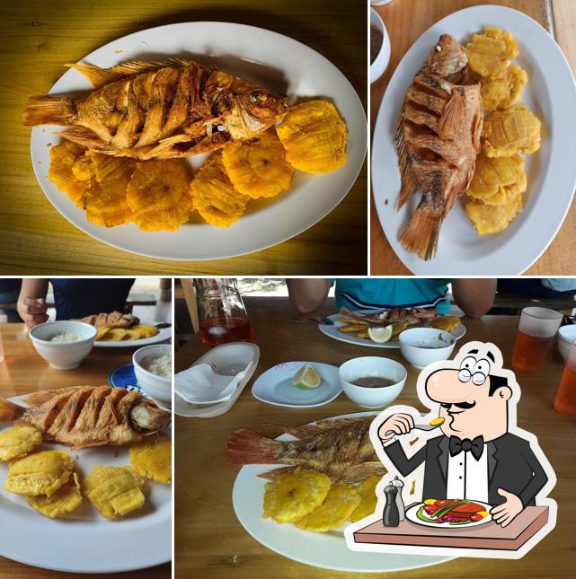 Paradero La Choza de la Tilapia
