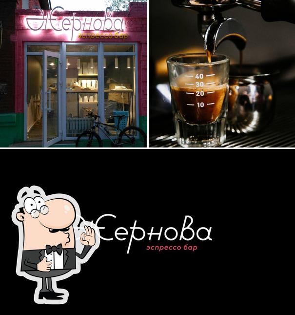 Zhernova Coffee