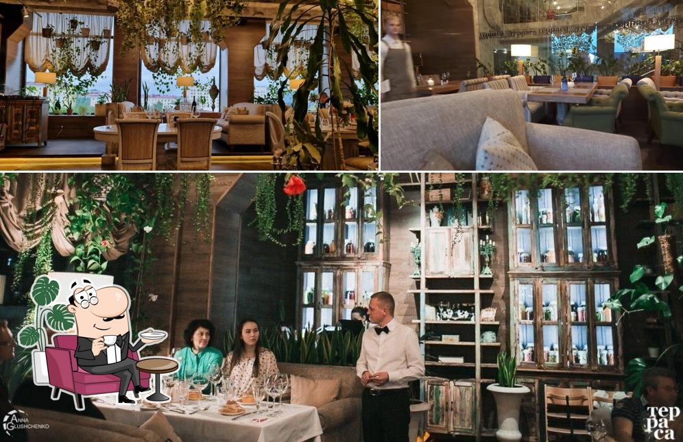 Интерьер "Террасы/Lounge & Bar"