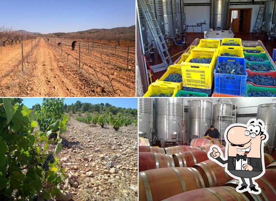 Bodegas Lazo