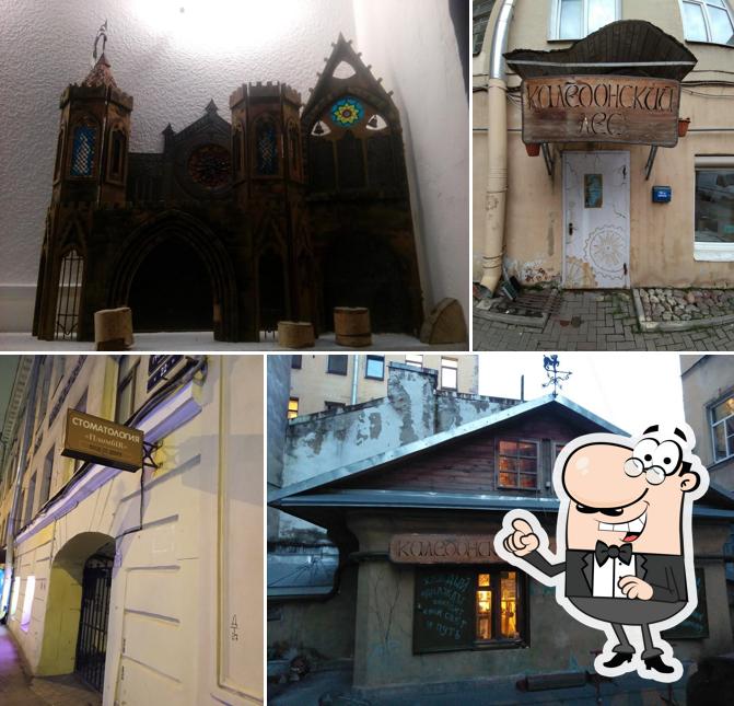 Каледонский лес