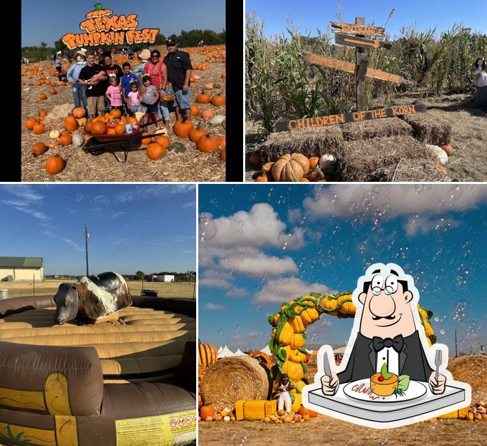 Texas Pumpkin Fest