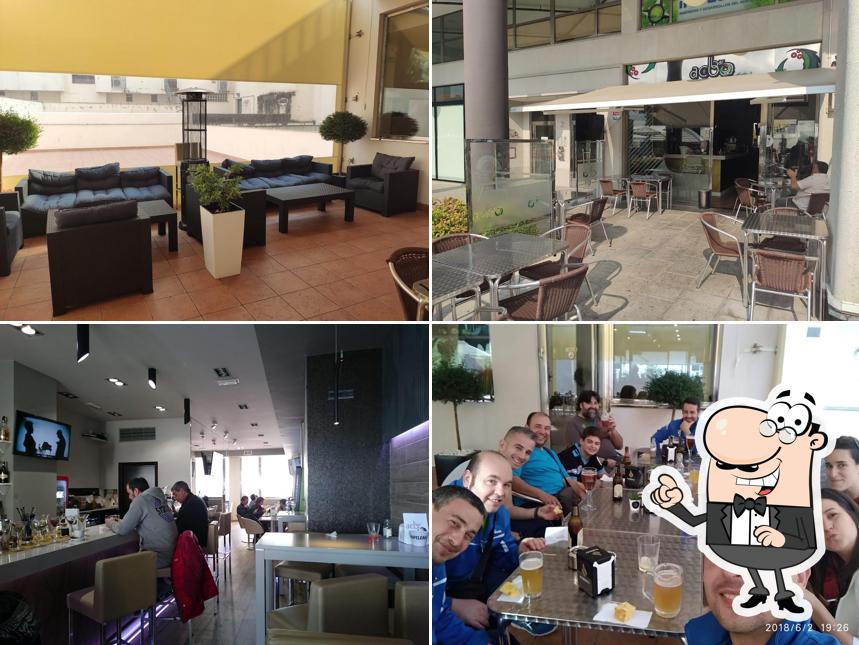 Bar Acebo