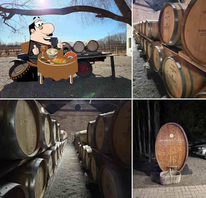 Bodega HUMBERTO CANALE