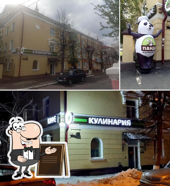 Панда