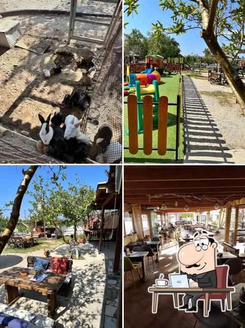 ERIKAS HORSE FARM Kos Horse Riding