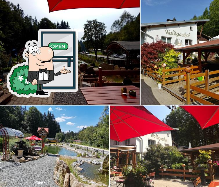 Hotel Scharnagl mit Waldgasthof zum Falkenstein