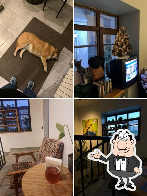 Забронируйте столик в "Подставе паб"