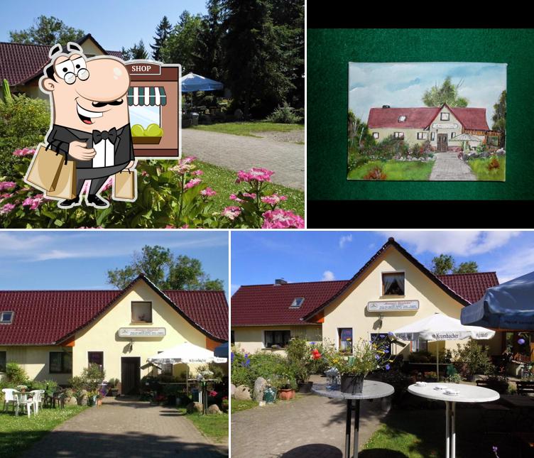 Ferienwohnung in Krienke auf Usedom