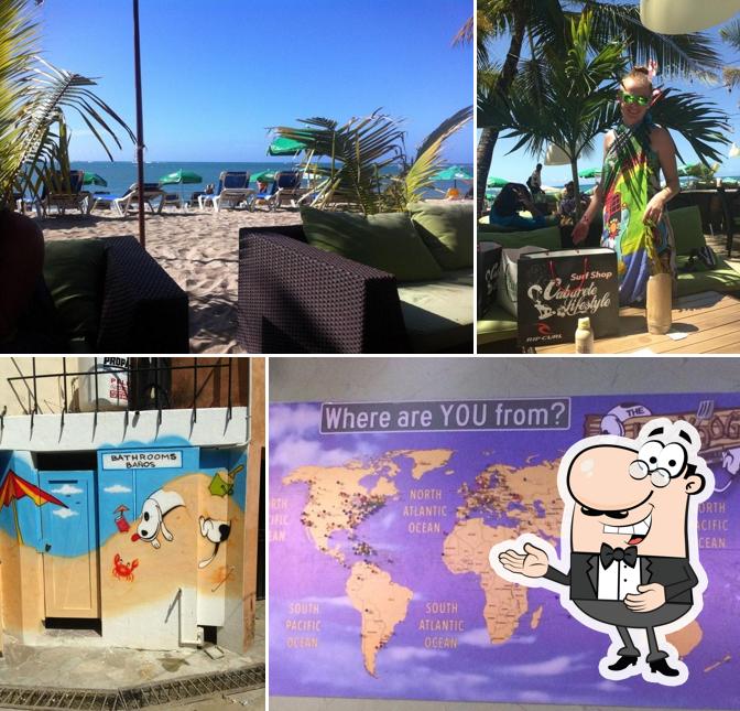 Lazy Dog Beach Bar & Grill