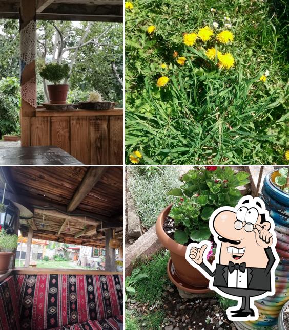 Livera Bir Asır Kahvaltı Evi