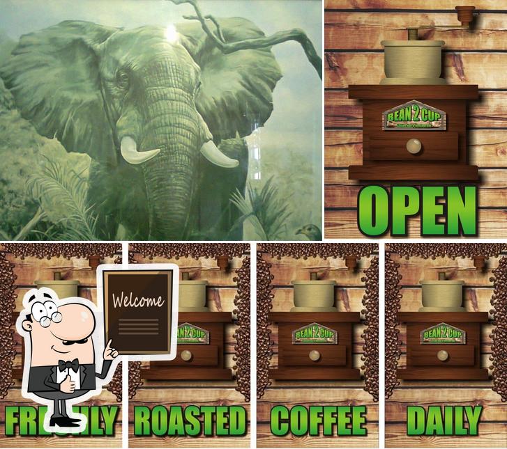 BEAN 2 CUP Coffee Bar & Restaurant Graskop