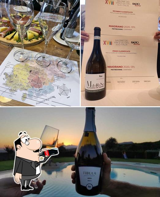 Cantina Pietreionne - Degustazione Vini e Metodo Classico