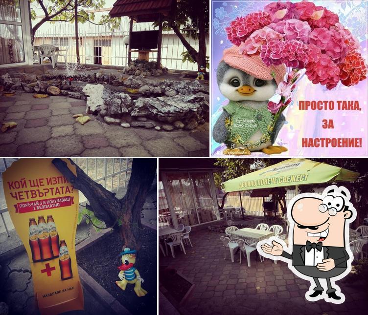Coffee-Aperitiv Mladost