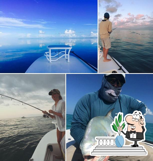 Tailed Up Charters