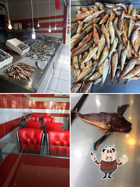 Yurtseven balıkçılık