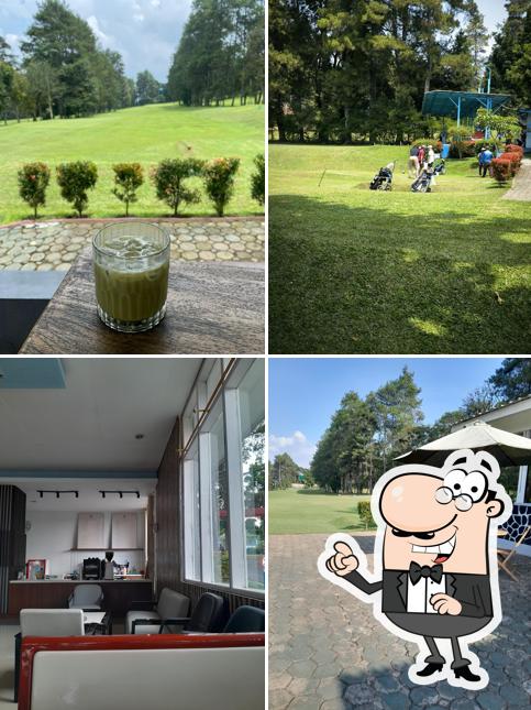 Lembang pinewood