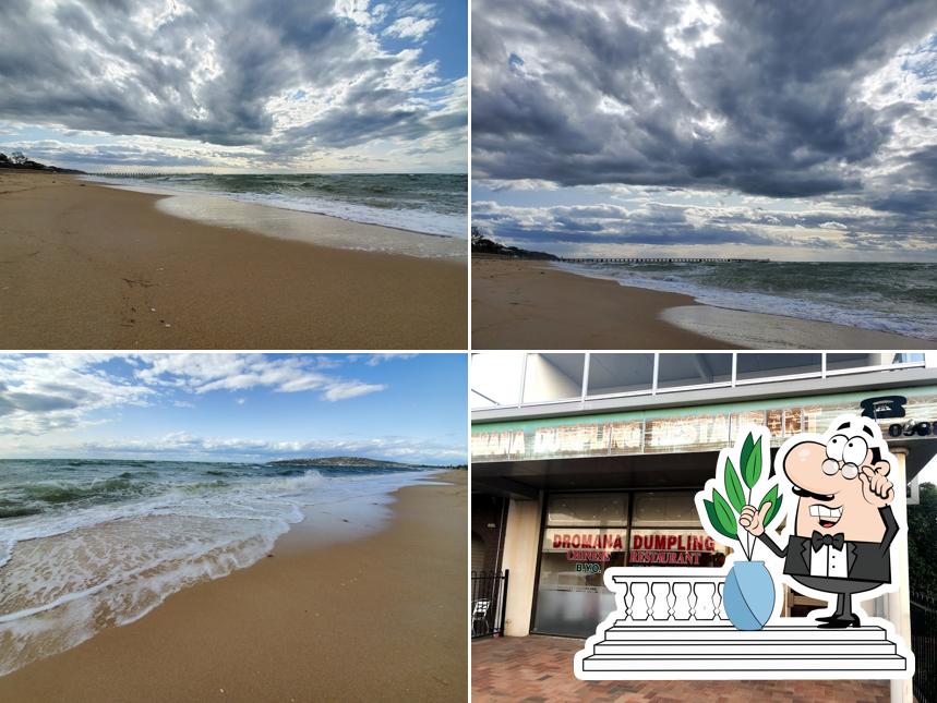 Dromana Dumpling