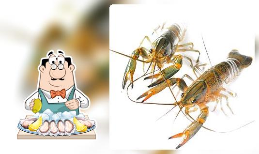 แม่น้อยฟาร์มกุ้ง
