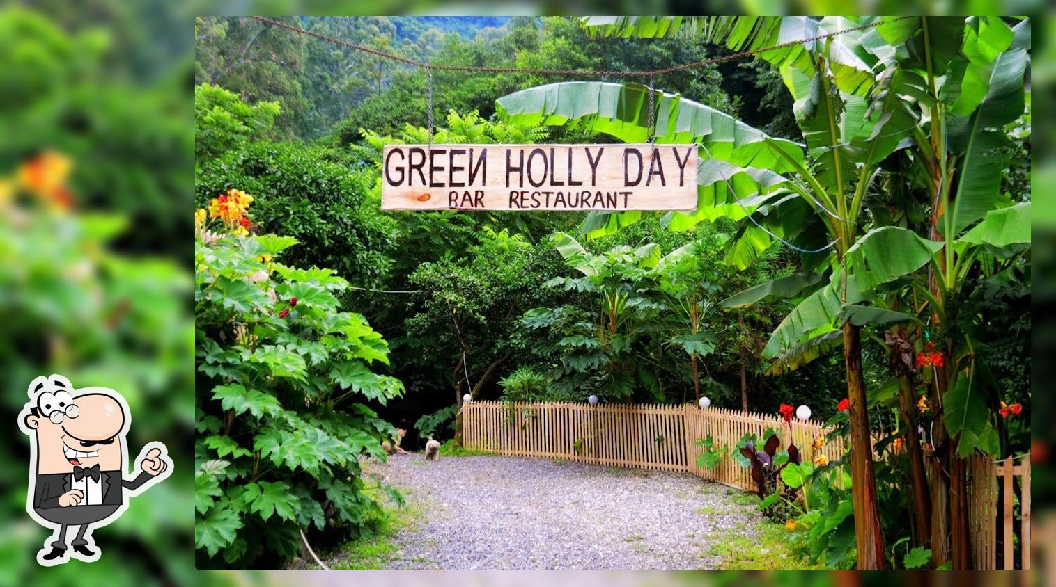 Green Holly Day