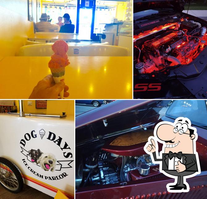 Dog Days Ice Cream Parlor