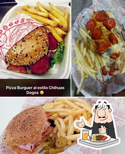 Chihuas Dogos Suc.Morelos