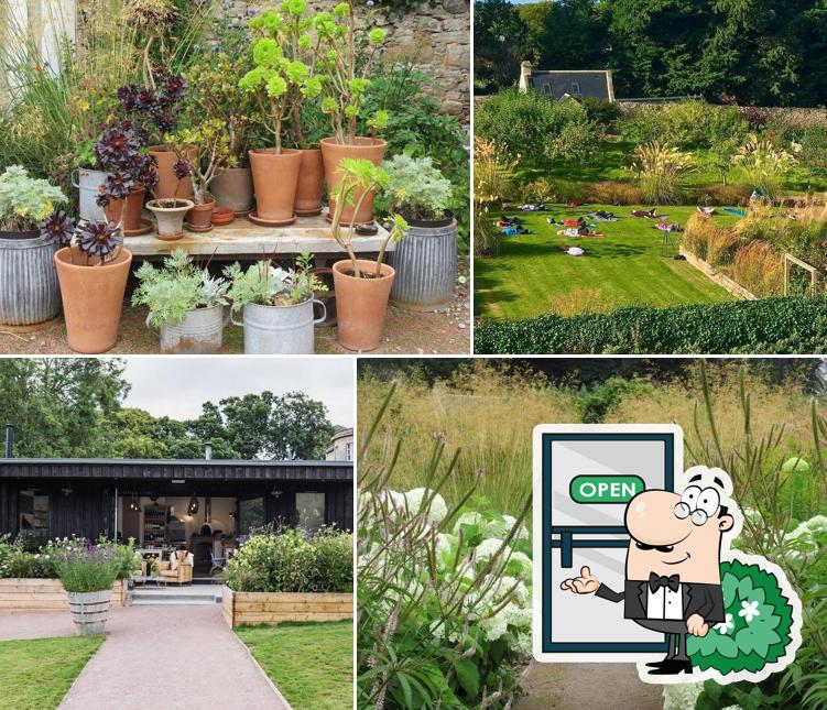 The Kale Yard