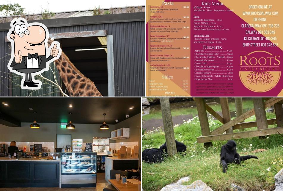 Roots Café & Bistro, Kilcolgan