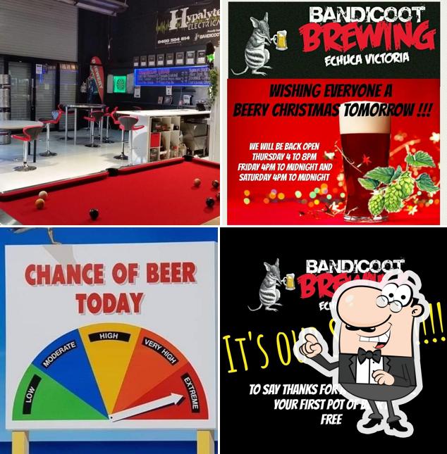Bandicoot Brewing