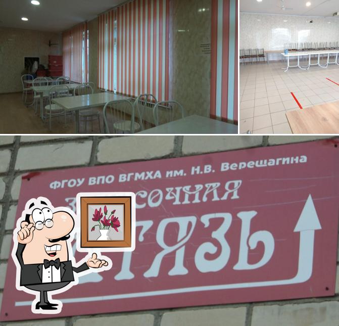 Витязь