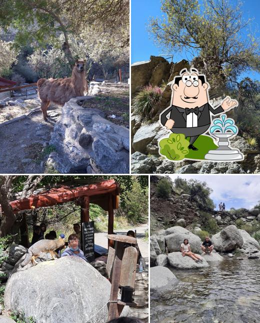 El Rincón del Paraíso