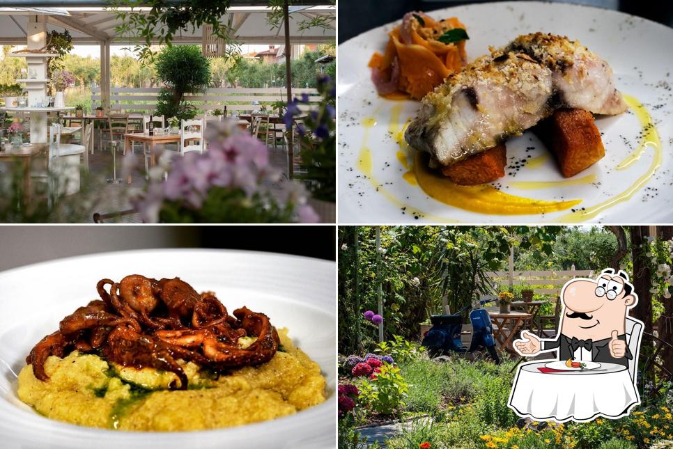 Osteria Olivia