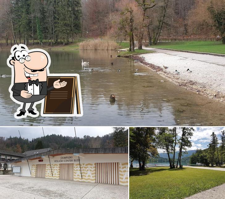 Olimpijski Regatni Center Bled