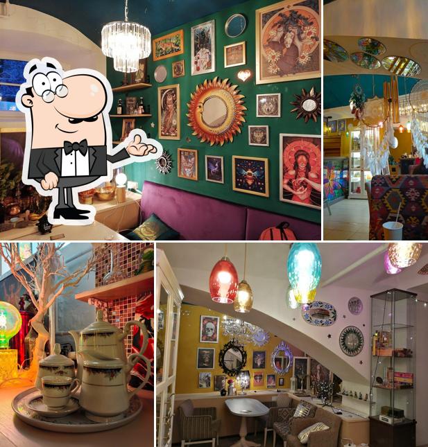 Мандрагора