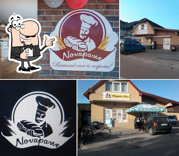 Novapane (Ghiroda)
