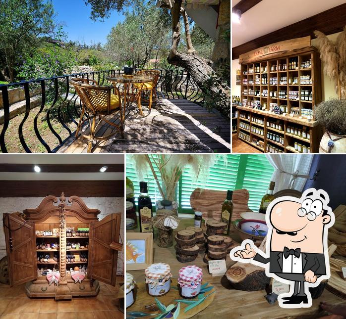Olive Farm